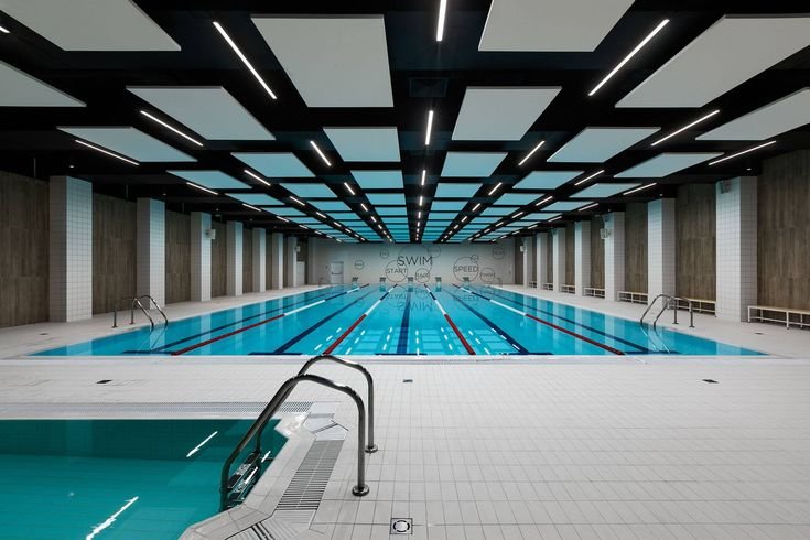 Swimmers training together in the pool