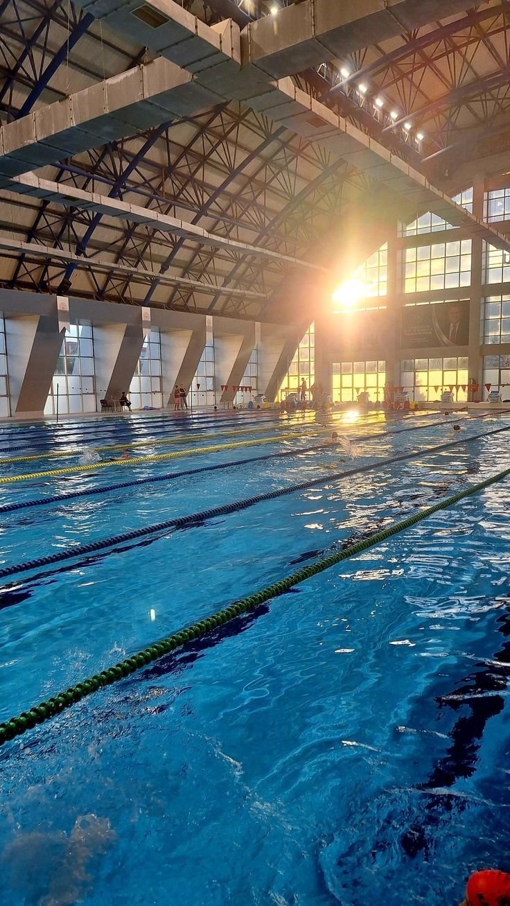 Adult swimmer